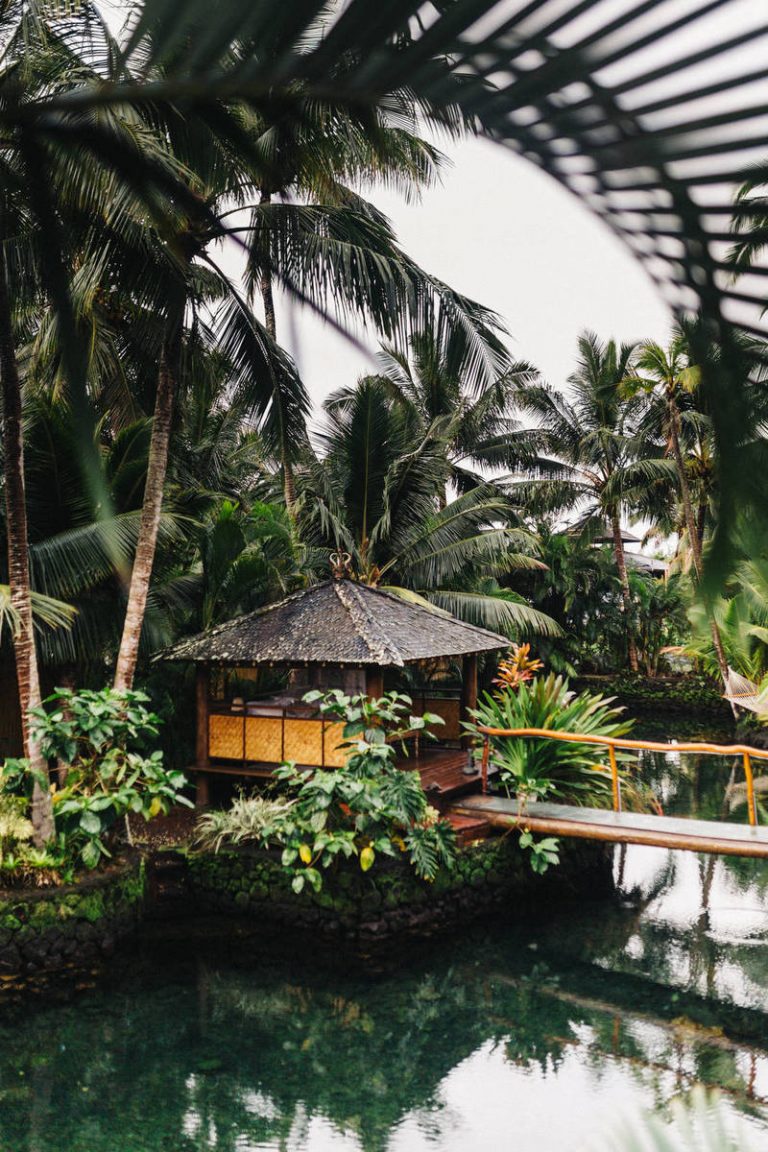 How Technology is Taking Over the World